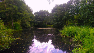 The Birch Pool at Lonsdale Park