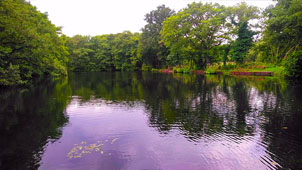 Deer Lake at Lonsdale Park
