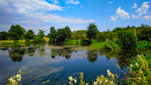 The Arches Lake at Lonsdale Park