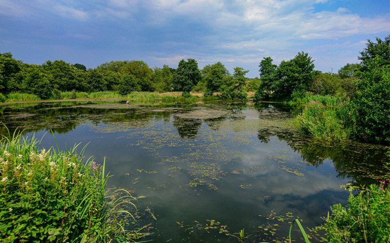 Lonsdale Park Fishing Lakes