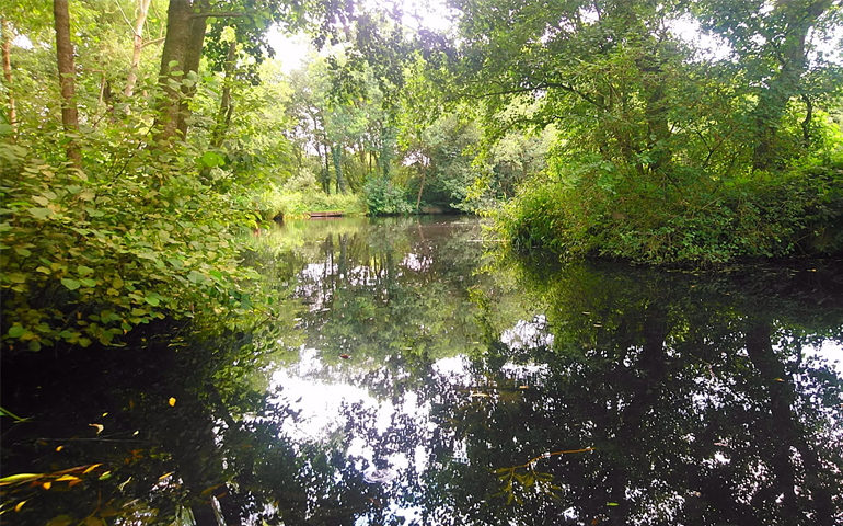 Lonsdale Park Fishing Lakes