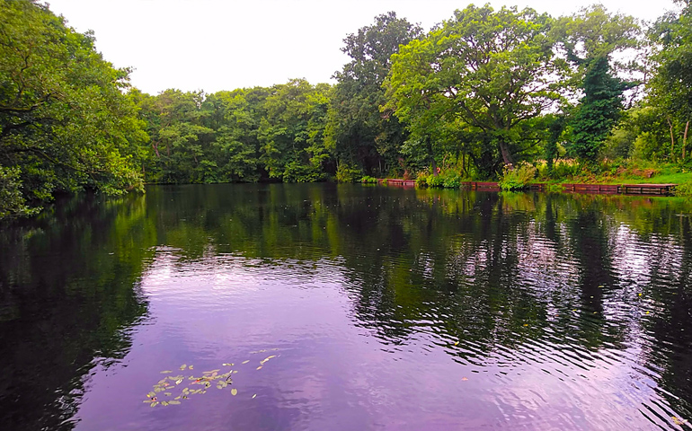 Lonsdale Park Fishing Lakes