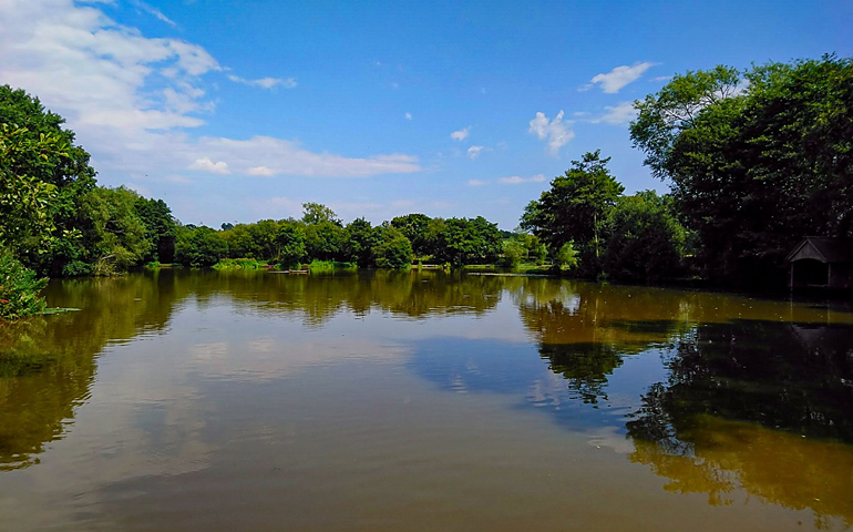 Lonsdale Park Fishing Lakes