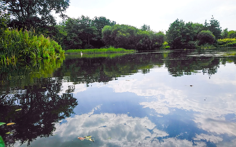 Lonsdale Park Fishing Lakes